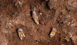 我为什么而活着 我为什么而活着