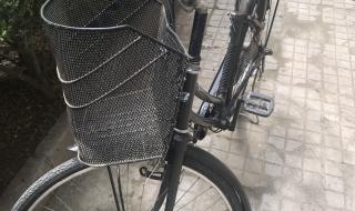 意大利袋鼠 意大利袋鼠