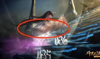 小舞生了多少个孩子 小舞生了多少个孩子