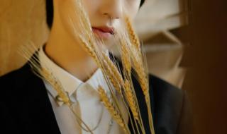 时代少年团演唱会 时代少年团演唱会