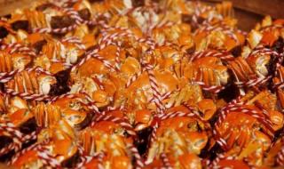 小鱼吃吃吃小游戏 小鱼吃吃吃小游戏