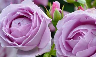 dnf蓝色风暴 dnf蓝色风暴