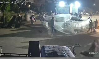 新搬来邻居家的麦子