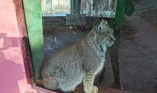 西宁市野生动物园 西宁市野生动物园