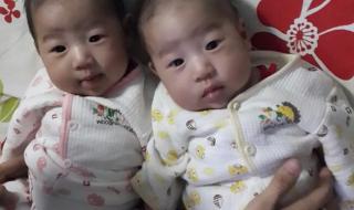 有一种爱叫小贝 有一种爱叫小贝