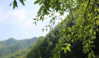 五一自驾游好去处 五一自驾游好去处