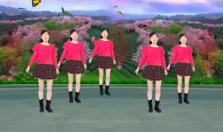 酒醉的蝴蝶广场舞32步 酒醉的蝴蝶广场舞32步