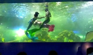 重庆欢乐海底世界 重庆欢乐海底世界