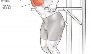 胸肌怎么练 胸肌怎么练