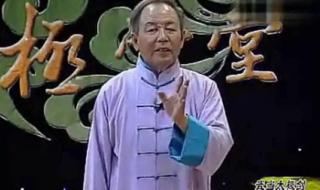 陈式太极拳56式教学 陈式太极拳56式教学