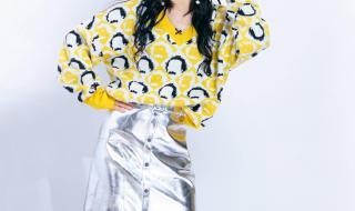 谢娜任央视主持人 谢娜任央视主持人