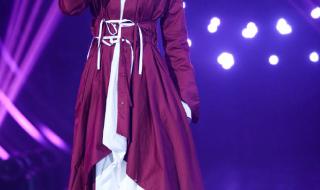 我是歌手第十二期