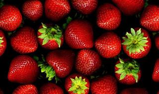 好看的手机壁纸图片 好看的手机壁纸图片