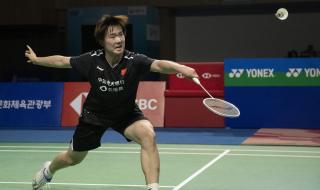 中国羽毛球公开赛决赛